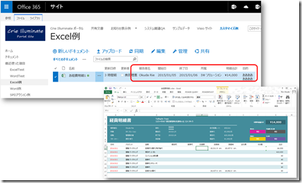 TemplateExcel9